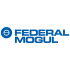 FEDERAL MOGUL - لوازم یدکی خودرو 